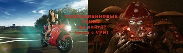 прущие крисы Алексеевка