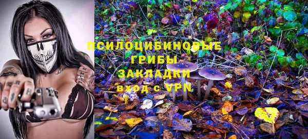 прущие крисы Алексеевка